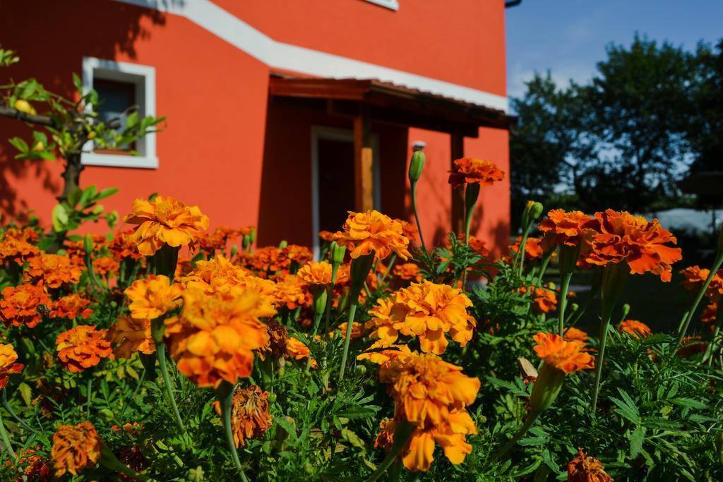 Agriturismo Ca' La Pergola Lugagnano Exterior photo